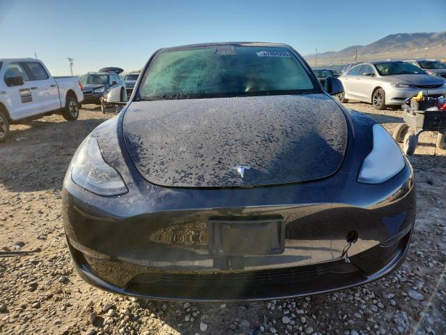 2024 TESLA MODEL Y #3298300133