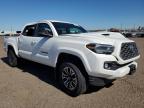 Lot #3301618656 2023 TOYOTA TACOMA DOU