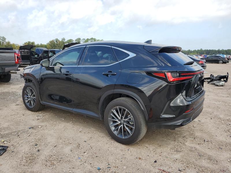 2025 LEXUS NX 250 PRE - 2T2GDCAZ7SC031820