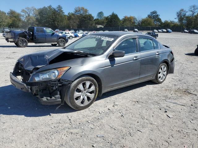 Global Auto Auctions: 2010 HONDA ACCORD EX