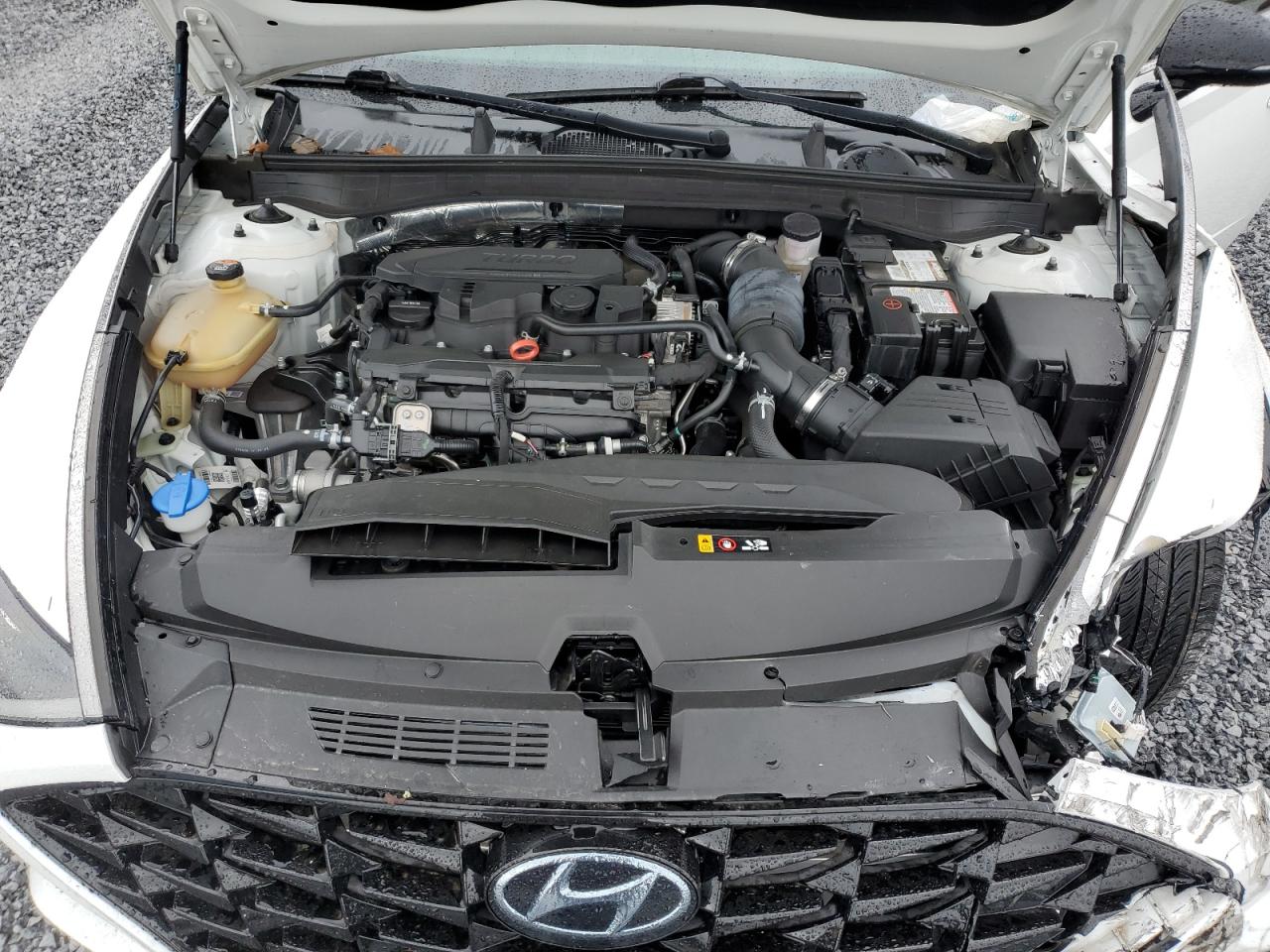 HYUNDAI SONATA SEL PLUS