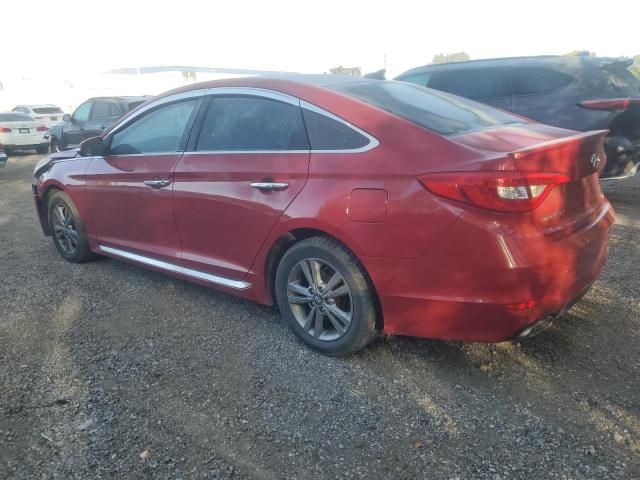 2017 HYUNDAI SONATA SPO - 5NPE34AF8HH564100