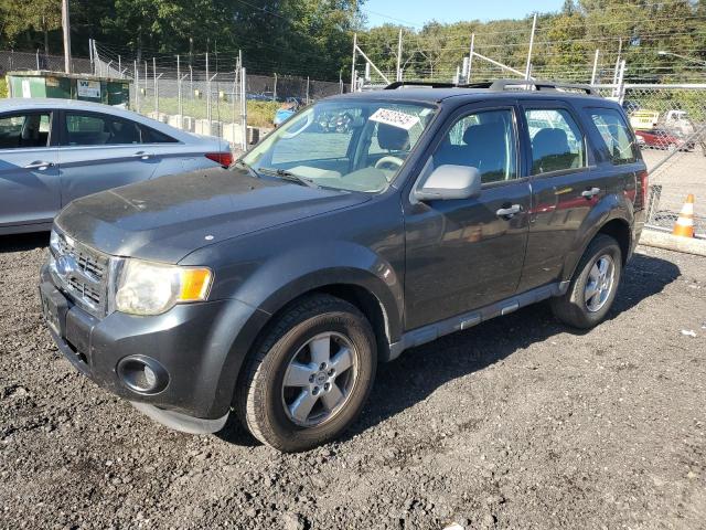 Global Auto Auctions: 2009 FORD ESCAPE XLS