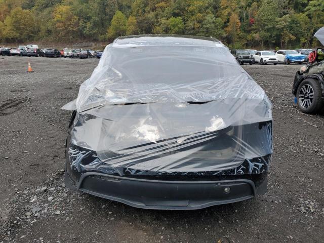 2023 TESLA MODEL Y #3279498321