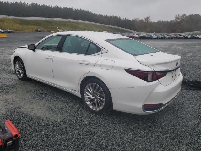 2021 LEXUS ES 300H LU - 58AEA1C12MU005457