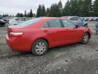 Lot #3316081248 2009 TOYOTA CAMRY BASE