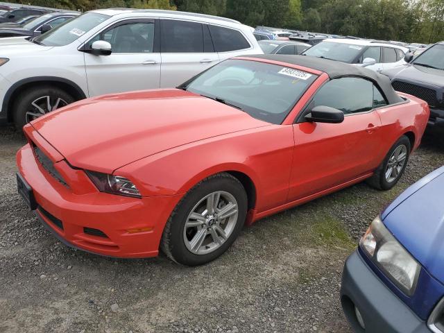 2013 FORD MUSTANG - 1ZVBP8EM6D5239282