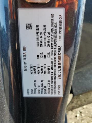 2024 TESLA MODEL 3 #3301918433