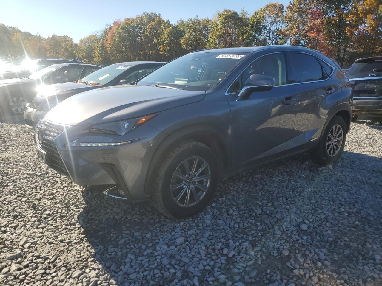 LEXUS NX 300H
