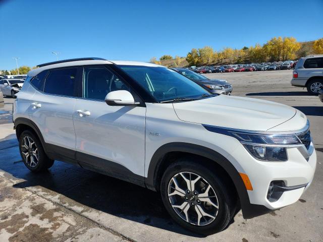 2022 KIA SELTOS EX - KNDERCAA5N7294448