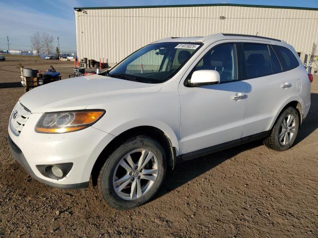 Global Auto Auctions: 2010 HYUNDAI SANTA FE S