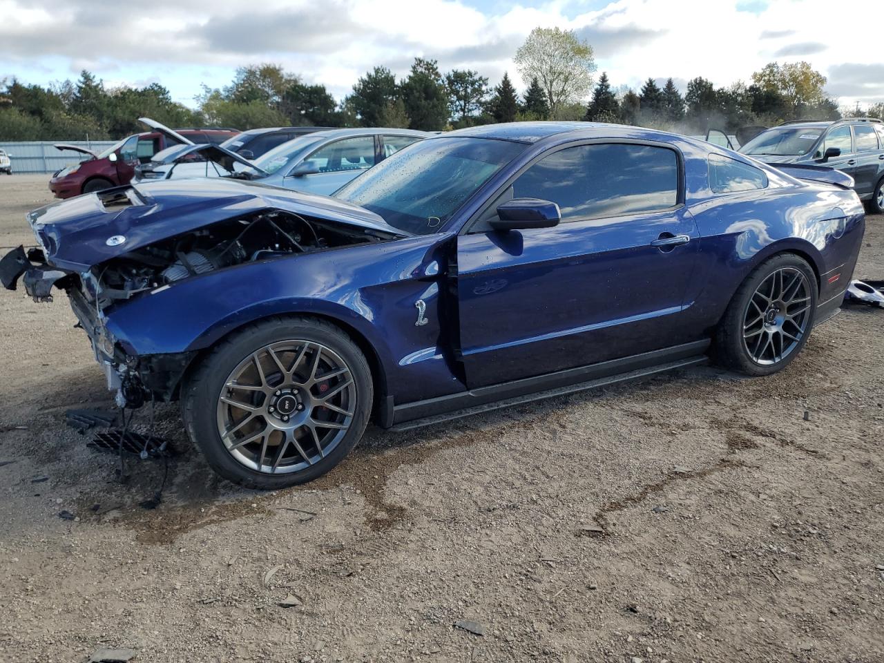 FORD MUSTANG SHELBY GT500