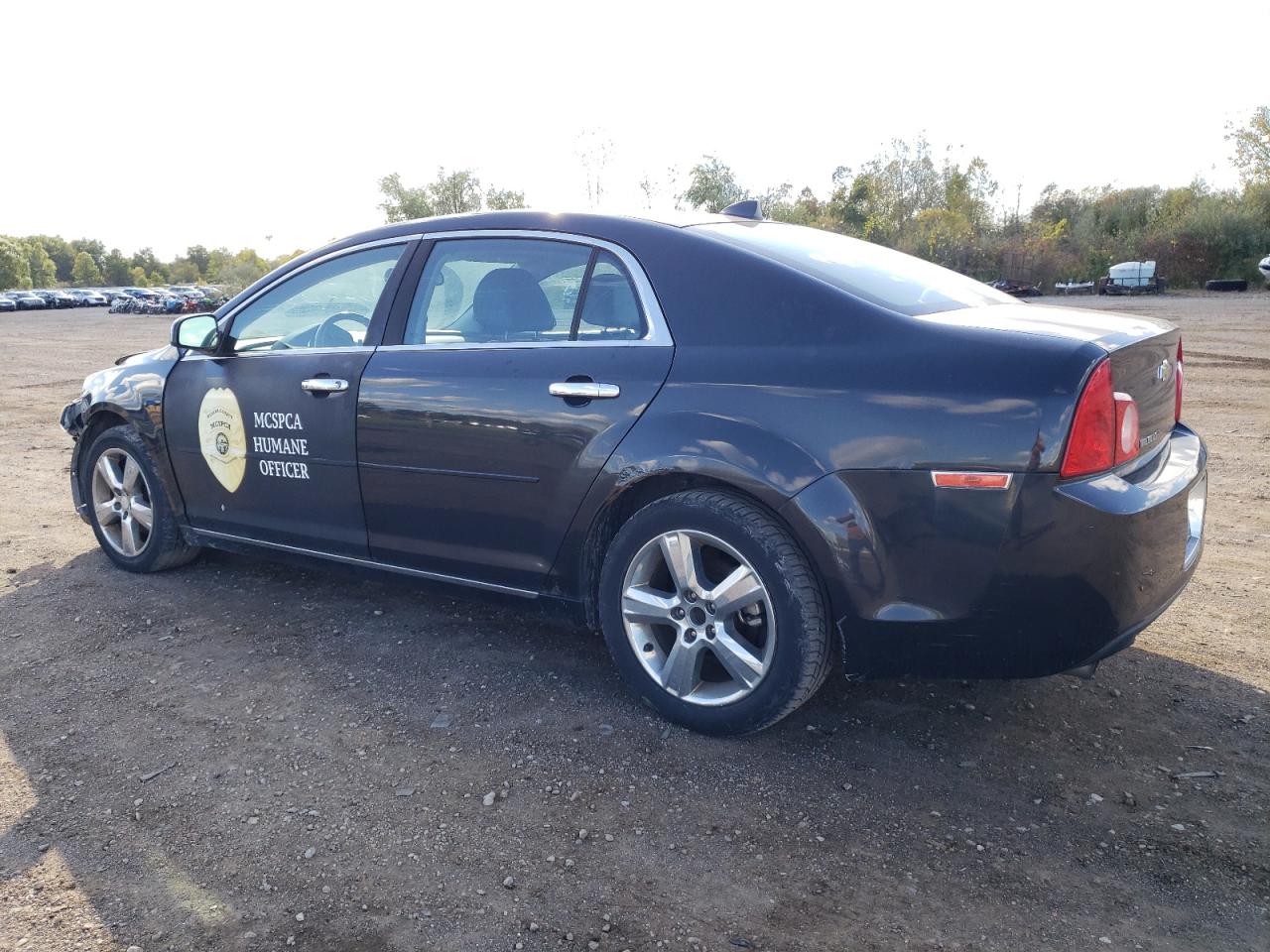 CHEVROLET MALIBU 2LT