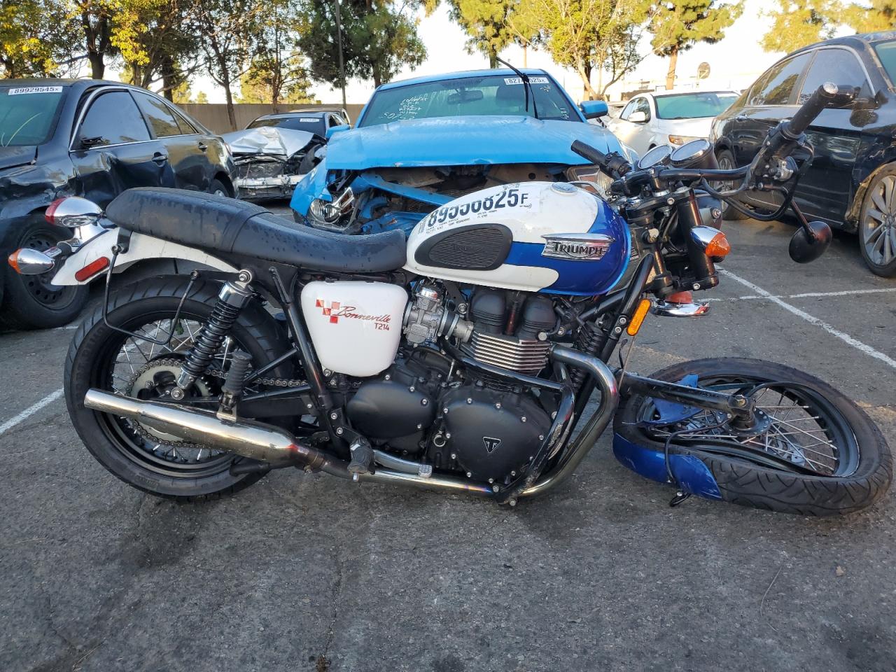 Lot #3311679241 2015 TRIUMPH CAR BONNEVILLE