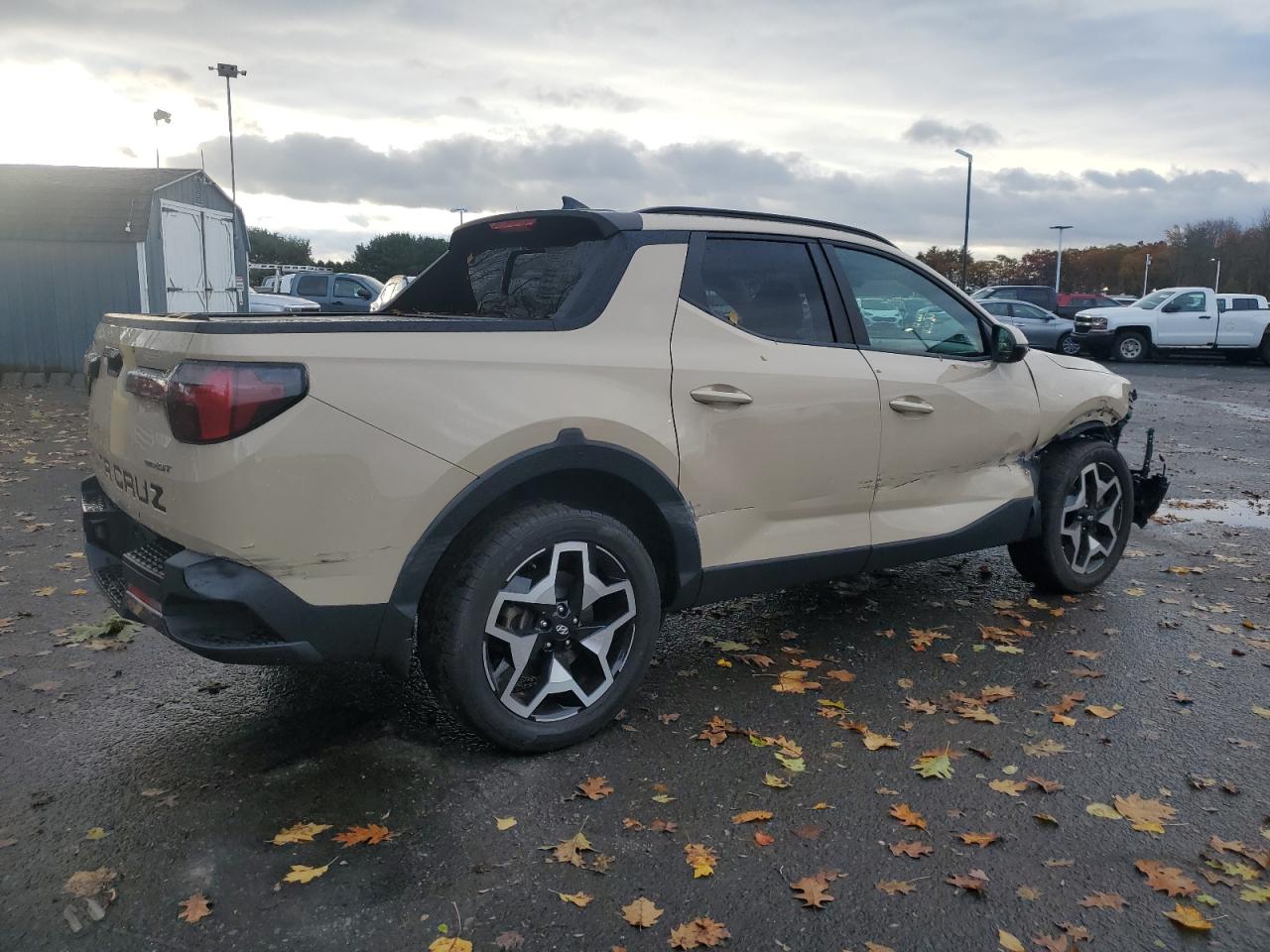 HYUNDAI SANTA CRUZ LIMITED