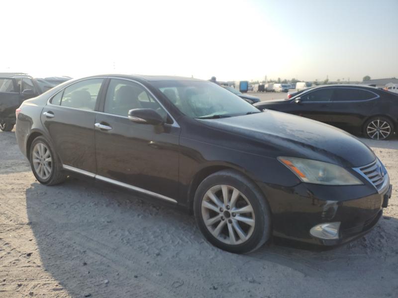 2010 LEXUS ES 350 #3311449238