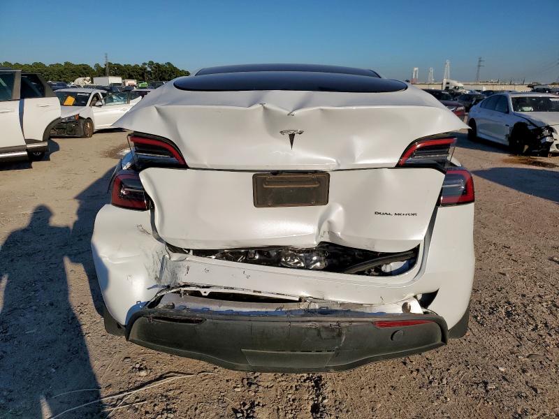 2023 TESLA MODEL Y #3304817542