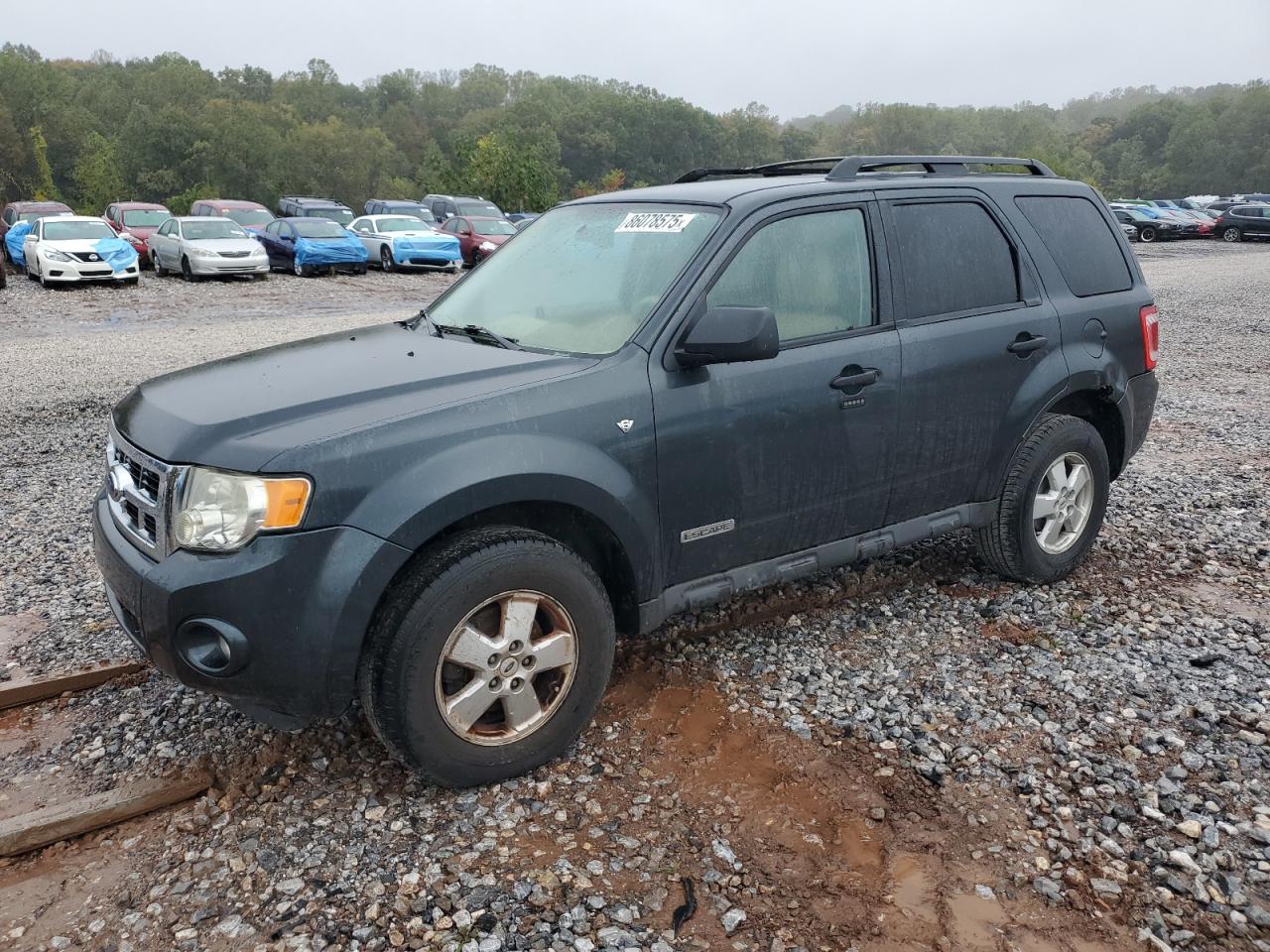 Lot #3293358425 2008 FORD ESCAPE XLT