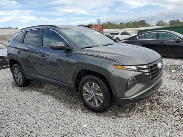 2024 HYUNDAI TUCSON BLU KM8JBCD16RU234759