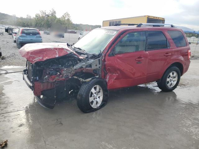 Global Auto Auctions: 2010 FORD ESCAPE LIM