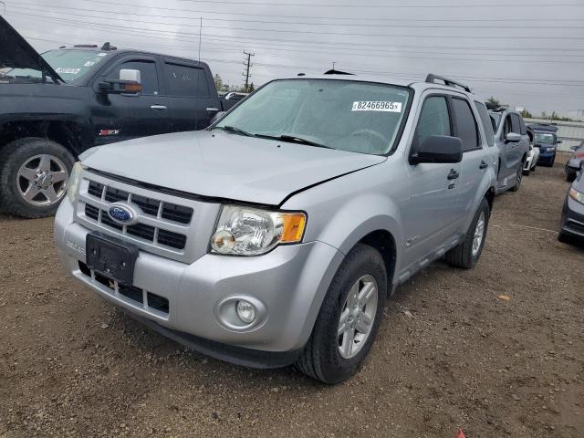 Global Auto Auctions: 2010 FORD ESCAPE HYB