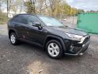 Lot #3301745340 2020 TOYOTA RAV4 XLE