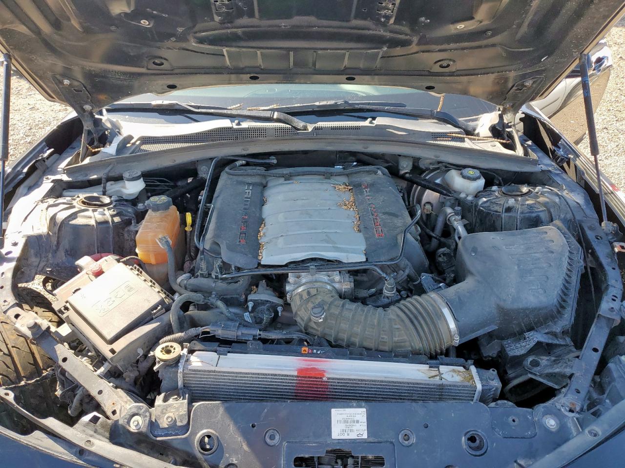 Lot #3318071396 2024 CHEVROLET CAMARO LT1