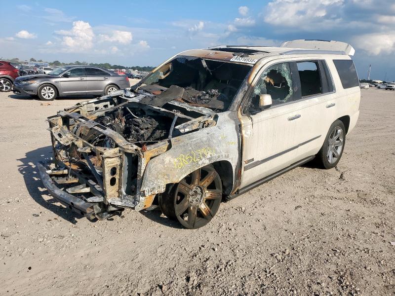 2015 CADILLAC ESCALADE P - 1GYS4CKJXFR201066