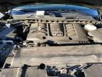 Lot #3292384272 2022 INFINITI QX80 LUXE