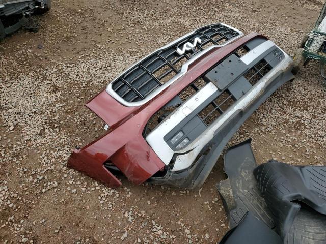 2023 KIA TELLURIDE - 5XYP5DGC5PG382294