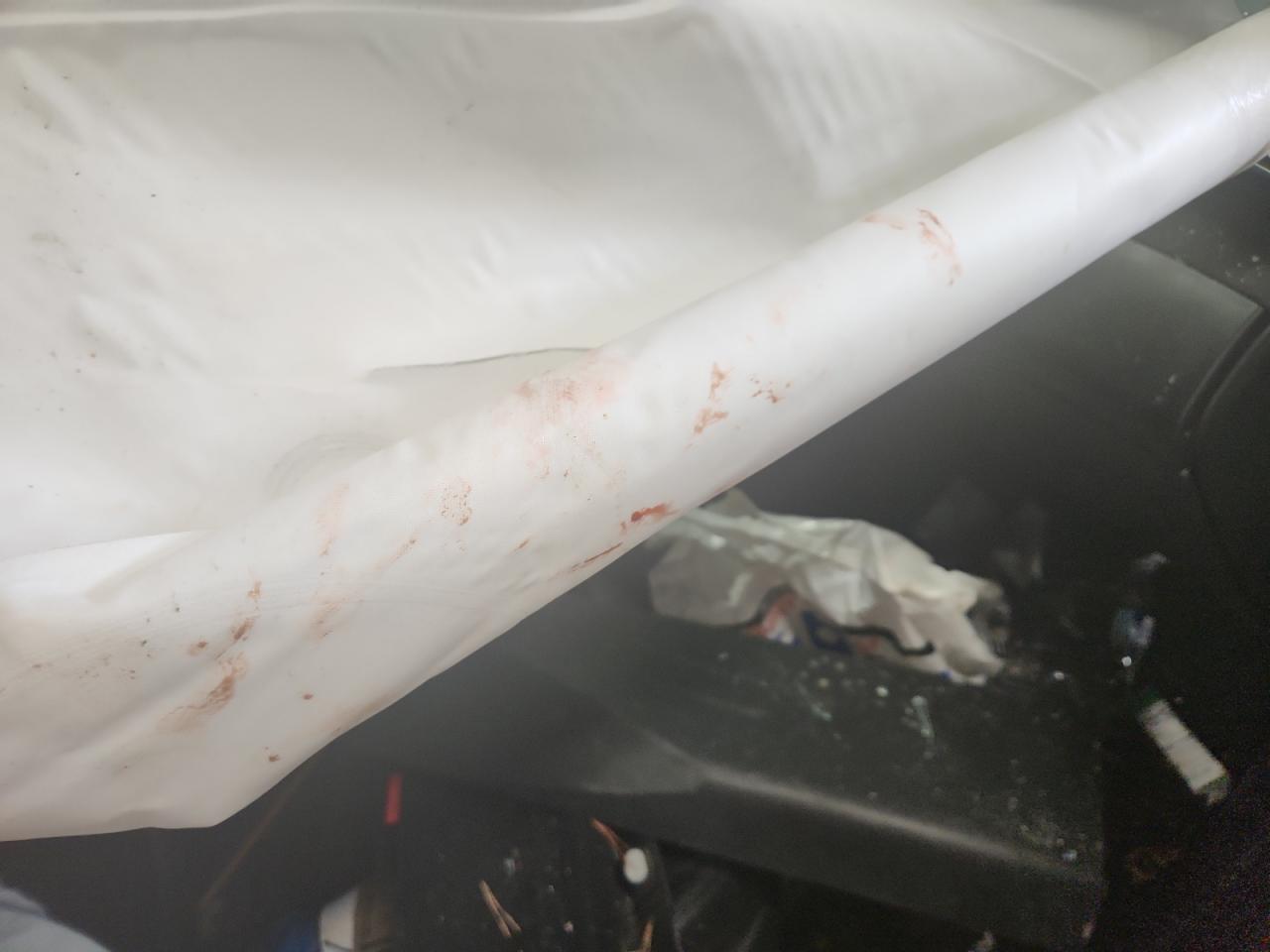 Lot #3311755743 2023 HYUNDAI TUCSON SEL