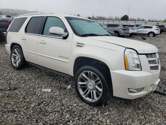 2013 CADILLAC ESCALADE P #3293551430