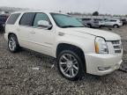 Lot #3293551430 2013 CADILLAC ESCALADE P