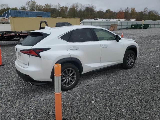 2019 LEXUS NX 300 BAS - JTJBARBZ4K2215620