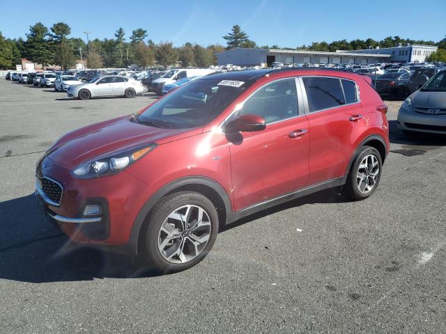2021 KIA SPORTAGE EX - KNDPNCAC6M7849864