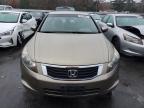 Lot #3301704620 2010 HONDA ACCORD EX