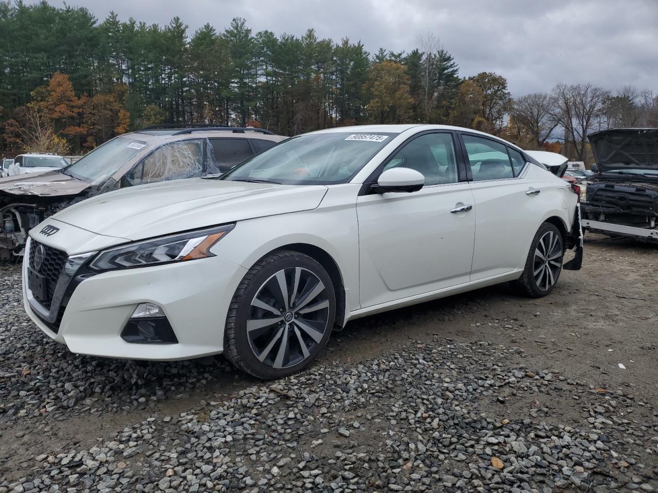 NISSAN ALTIMA PLATINUM