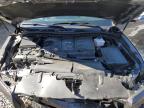 Lot #3301765337 2024 INFINITI QX80 SENSO