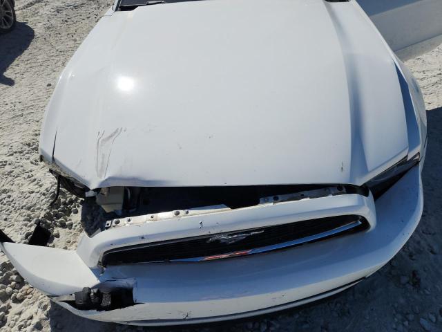 2013 FORD MUSTANG - 1ZVBP8EMXD5205085