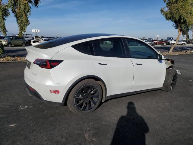 2023 TESLA MODEL Y - 7SAYGDEE6PF676283