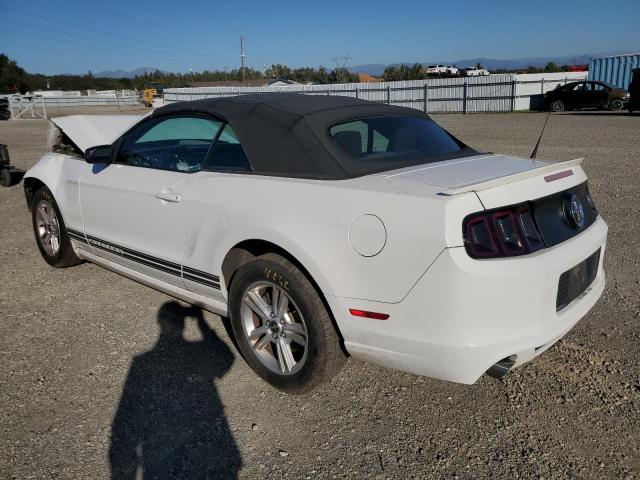 2013 FORD MUSTANG - 1ZVBP8EM2D5229705