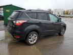 Lot #3303725435 2017 FORD ESCAPE SE