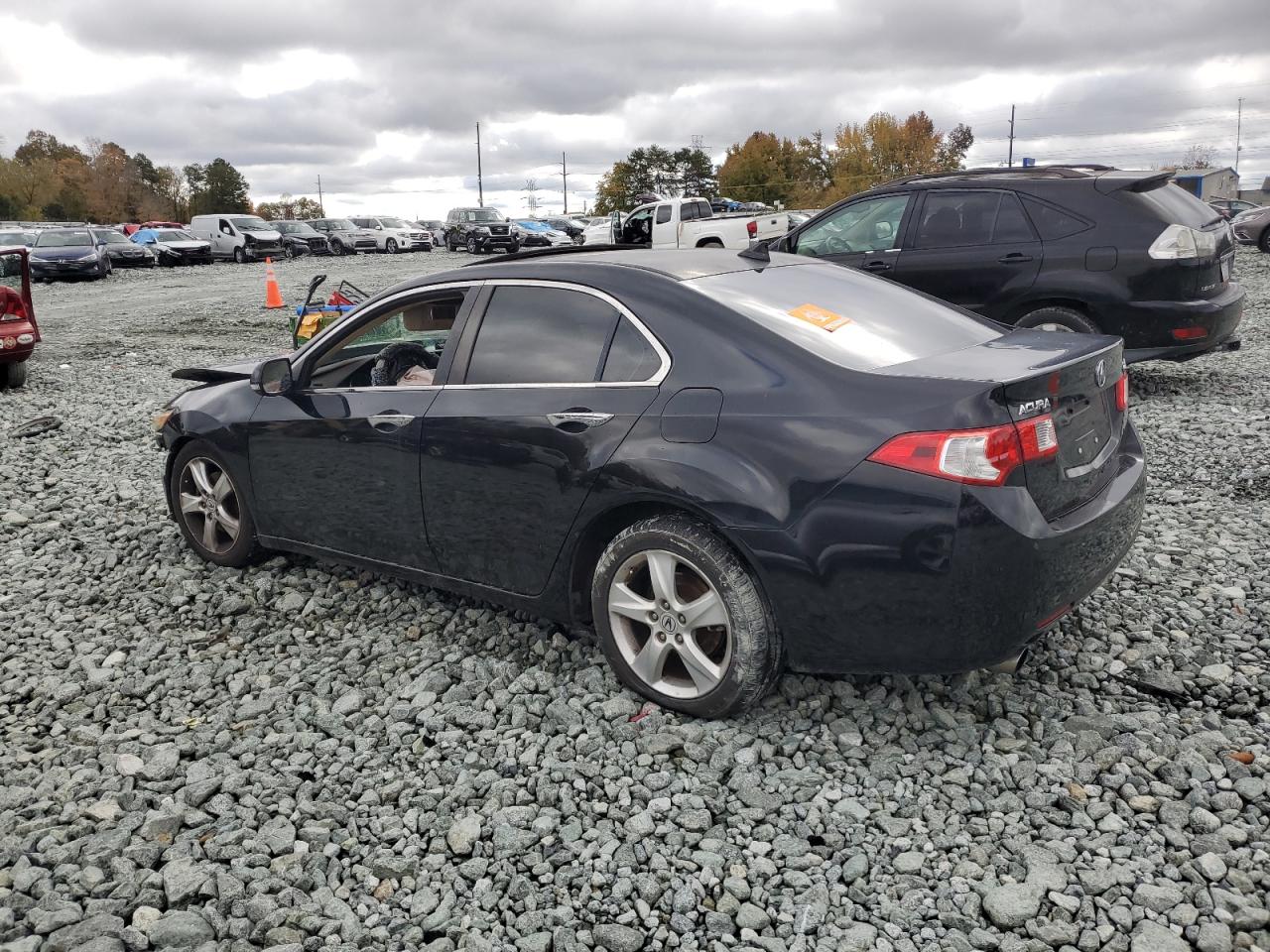 Lot #3290128282 2009 ACURA TSX
