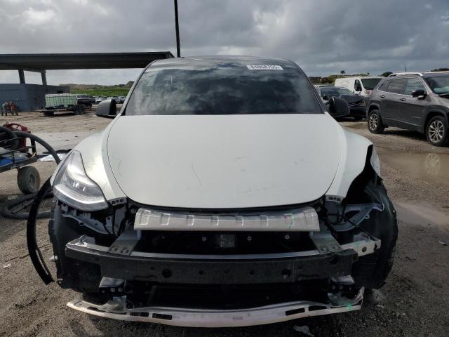 2021 TESLA MODEL Y #3303919699