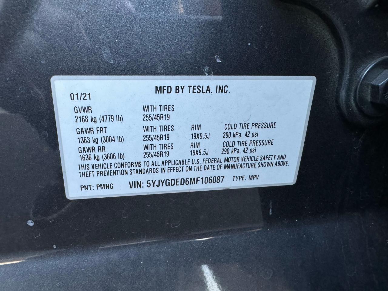 TESLA MODEL Y