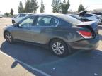 Lot #3294469494 2010 HONDA ACCORD