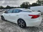 Lot #3310546044 2017 NISSAN MAXIMA