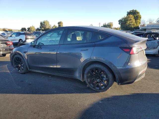 2023 TESLA MODEL Y #3298228044
