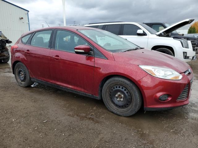 2014 FORD FOCUS SE - 1FADP3K2XEL249947