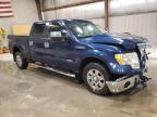 Lot #3312532609 2013 FORD F150 SUPER